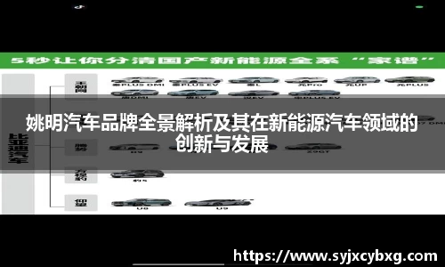 姚明汽车品牌全景解析及其在新能源汽车领域的创新与发展