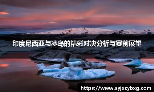 印度尼西亚与冰岛的精彩对决分析与赛前展望