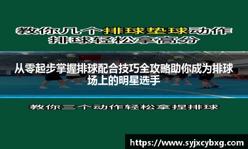 从零起步掌握排球配合技巧全攻略助你成为排球场上的明星选手